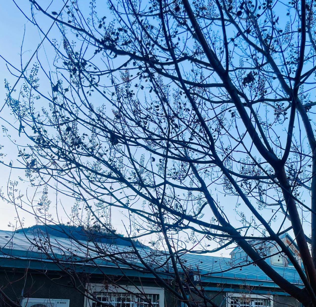 Art Hotel Tabidze Tbilisi Zewnętrze zdjęcie